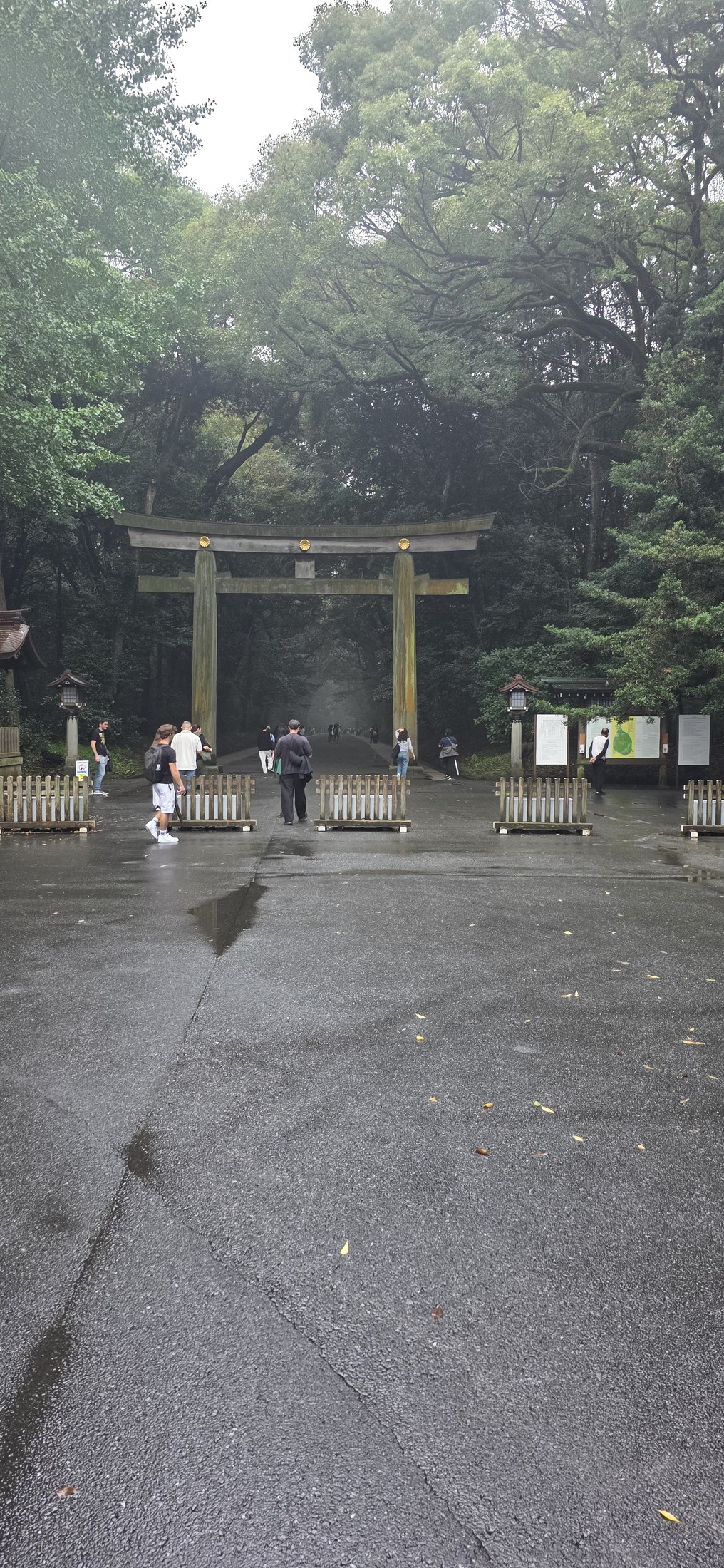 Traditionelles Torii-Tor am Eingang zu einem Waldpfad in Tokio