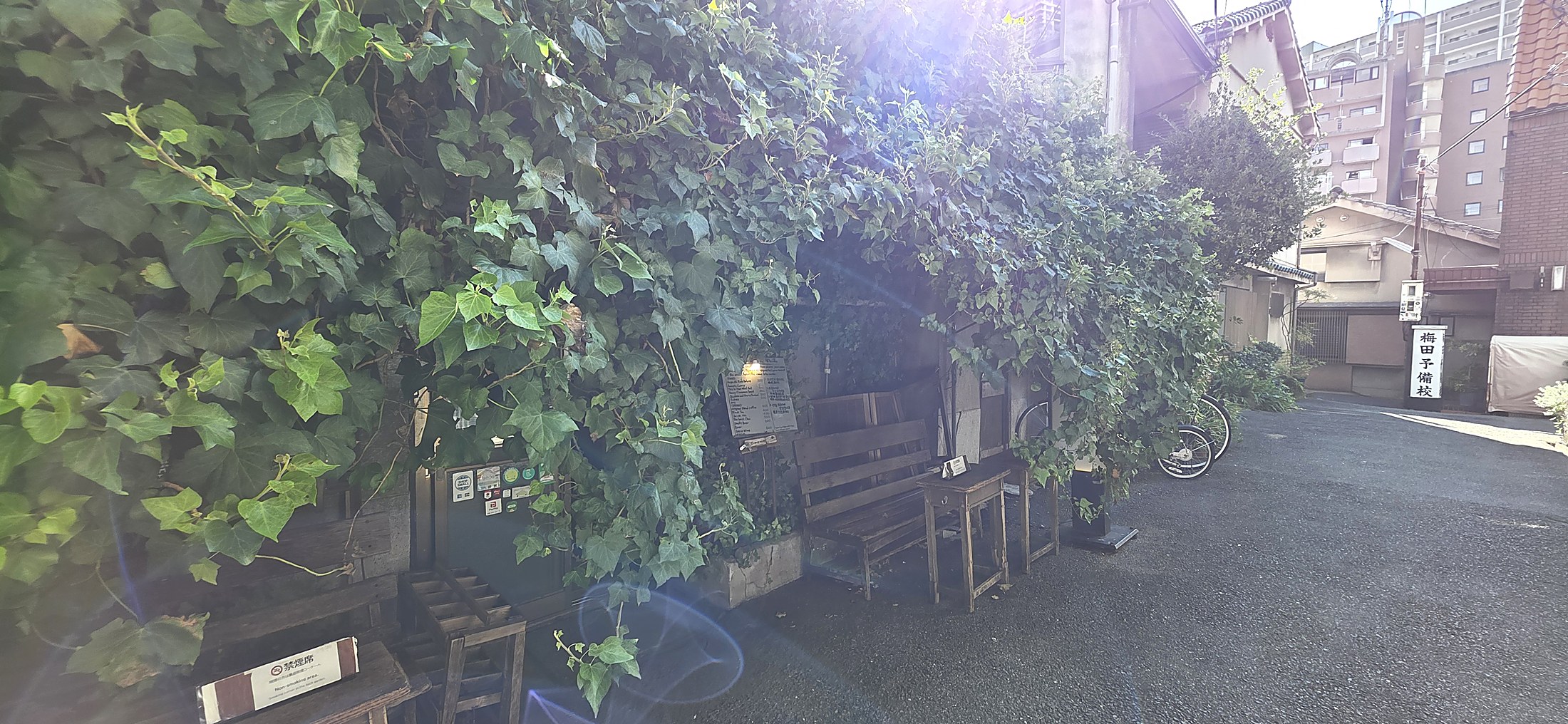 Verwunschener Eingangsbereich mit Kletterpflanzen in japanischem Viertel