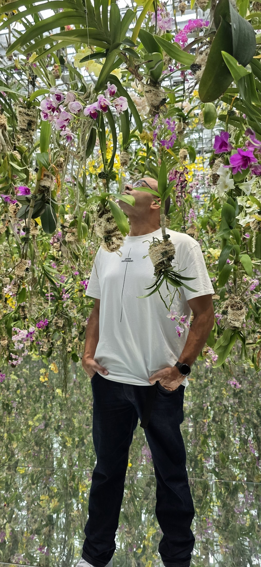 Faszinierende Orchideenpracht in Tokyo - Tropischer Garten
